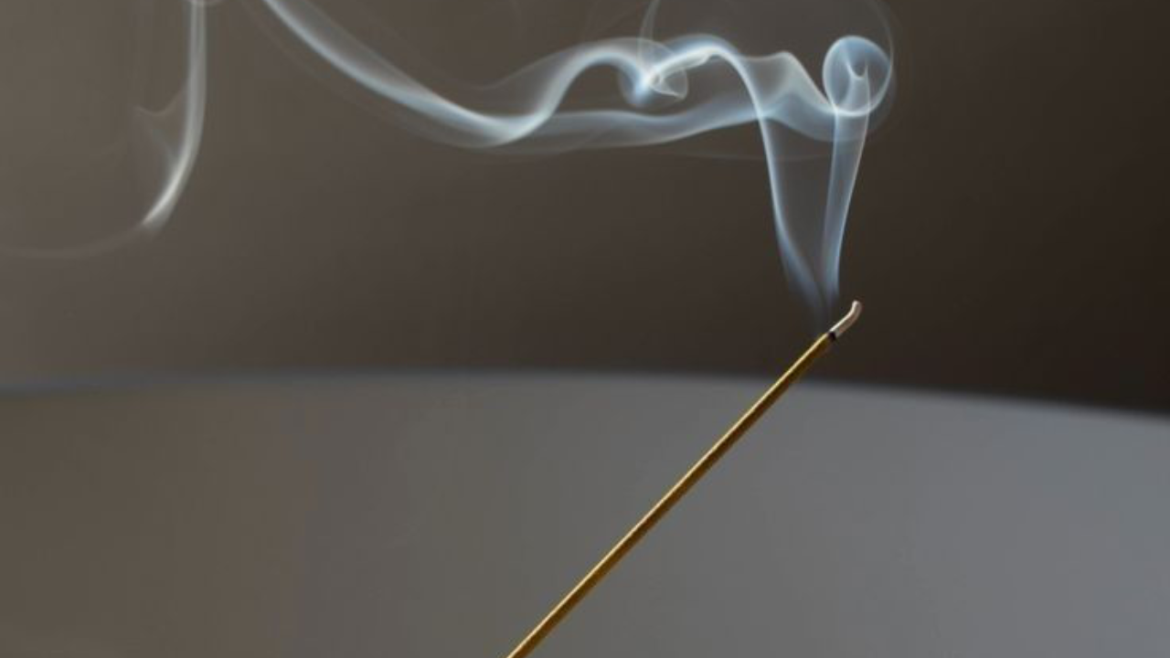 Les 8 Membres du Raja Yoga : Guide Complet de l'Ashtanga Yoga de Patañjali